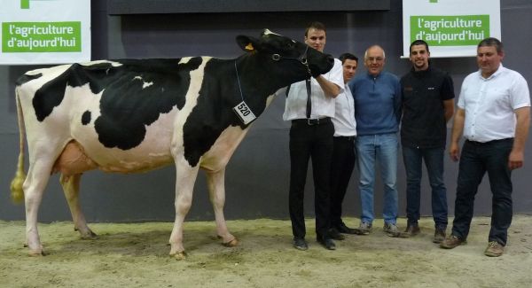 KL ELITE, grande Championne 2015