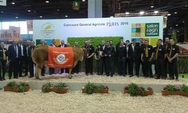 Salon de l’Agriculture 2016 : plus que jamais solidaires avec nos agriculteurs !