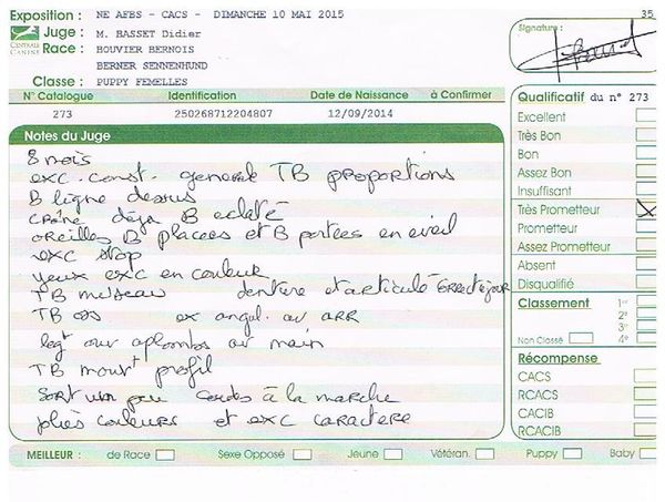 Le "slip" de Jaïka ... ==>