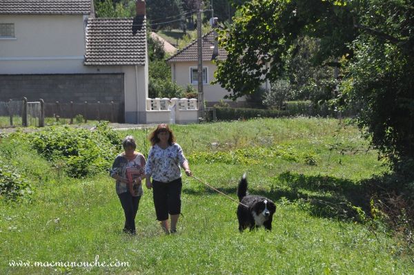 famille macmanouche.com :"36ème sortie (1/20)"