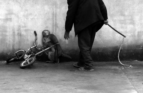 Photo de Yongzhi Chu - Chine