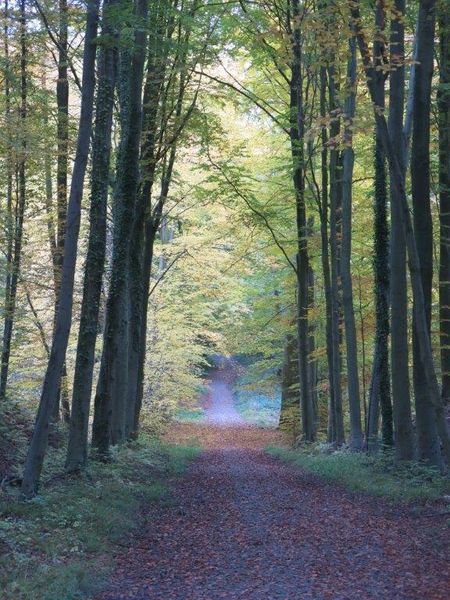 Derniers jours d'octobre