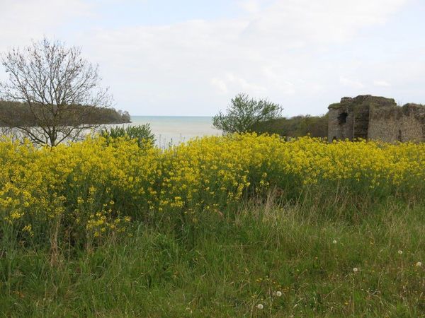 Au fond de la baie