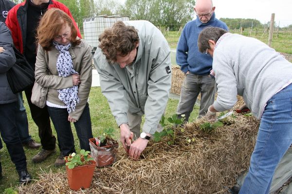 Culture sur ballots au Jardin de l'Ermite
