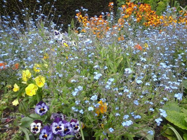 Le Goût du printemps