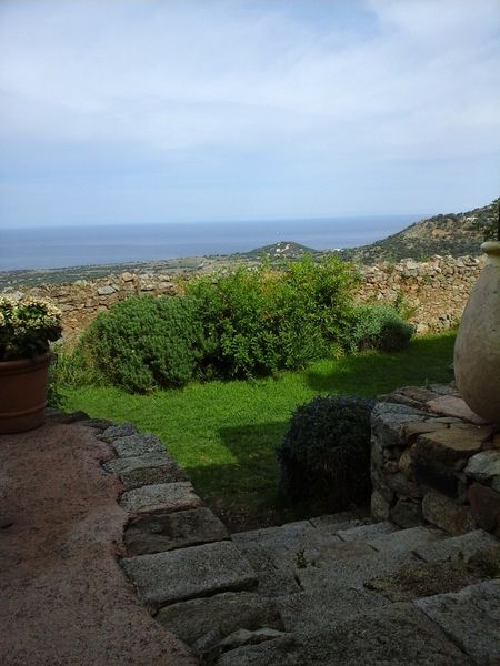 Carte postale de Pigna (Corse)