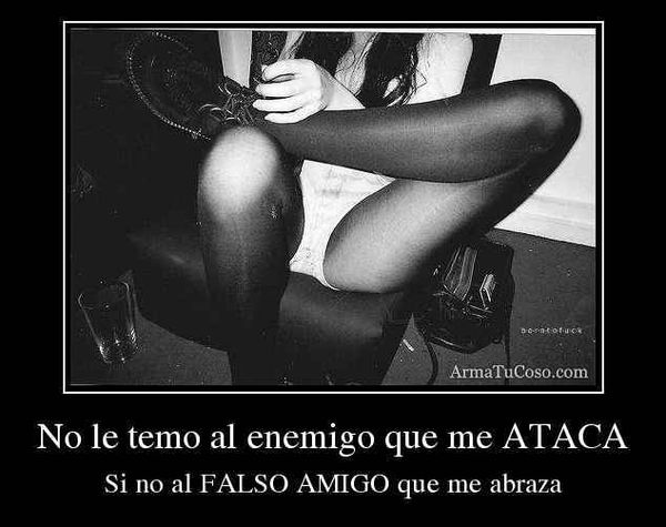 IMAGEN QUE JUSTIFICA MAS A LOS ENEMIGOS QUE A FALSOS AMIGOS