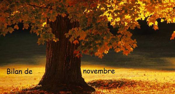 Bilan de novembre 2015
