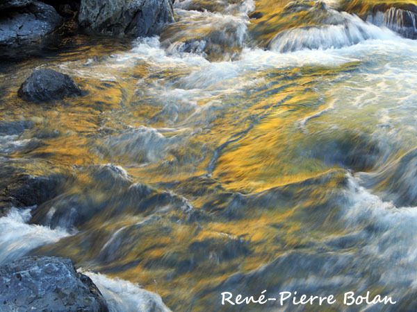Torrent vallée d'Héas.