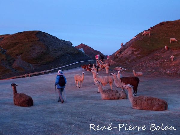 1303 : Aube sur le col.