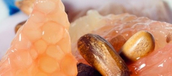 Efficace sans être nocif, découvrez le plus puissant antibiotique naturel