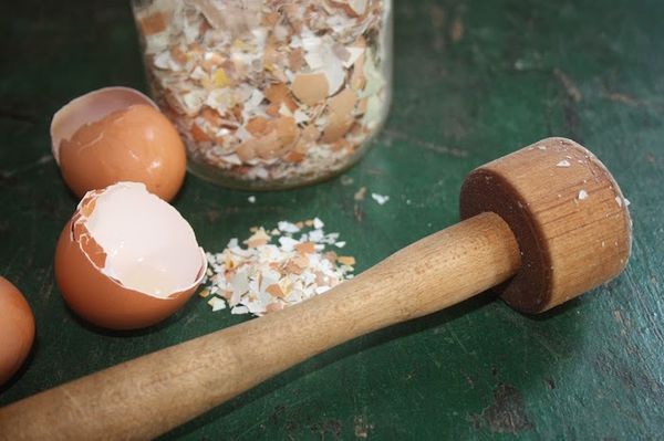 6 utilisatons surprenantes de la coquille d’oeuf