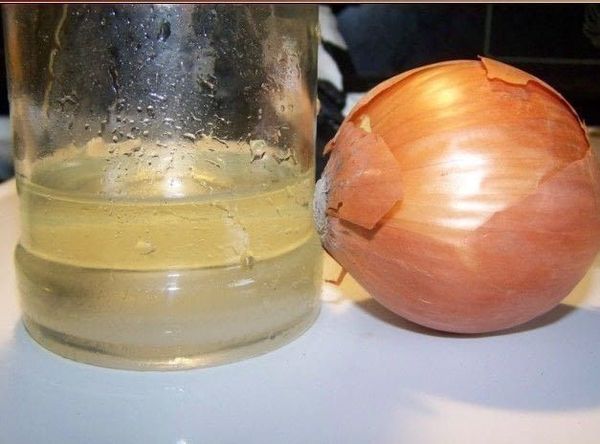 OIGNON remède infaillible pour soigner l’asthme, la bronchite, la toux et les maladies pulmonaires