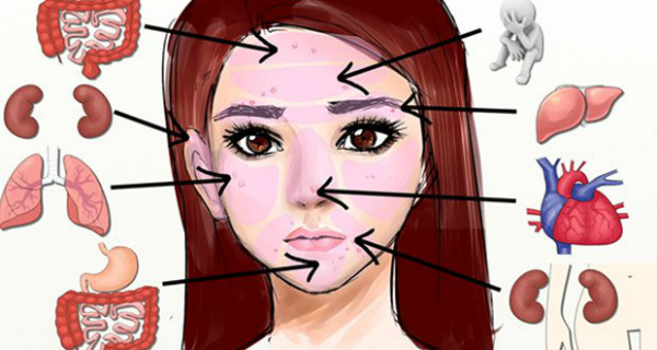 Carte du visage chinoise : quand les problèmes de peau révèlent l’état des organes vitaux du corps