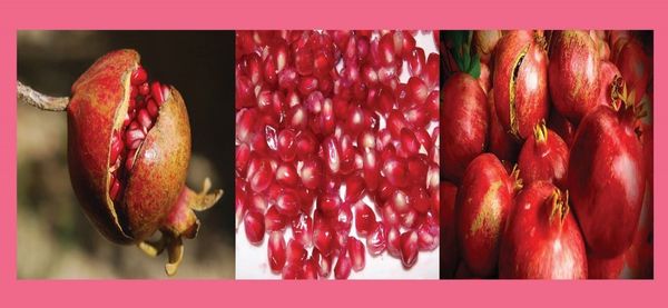Ce fruit est l'élixir de jeunesse! Les scientifiques l'on prouvé