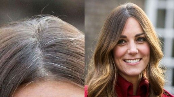 Faire des merveilles: Consommer ces aliments régulièrement et oublier le cheveux gris, les pellicules et les pointes fourchues ...