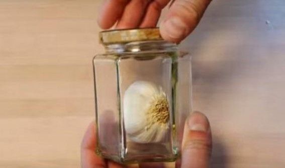 Ceci est ce qui arrivera si vous mettez l'ail dans un bocal. Le résultat est surprenant!