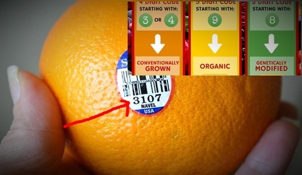 Faites attention ! Que faites-vous achetez: Saviez-vous ce qui ne les autocollants des fruits veux dire?