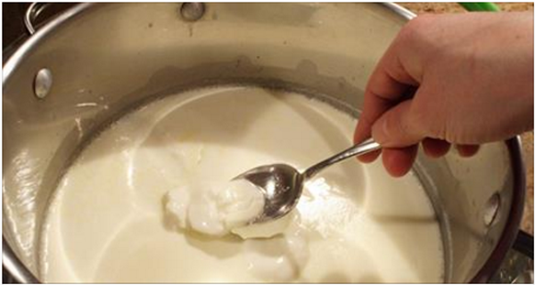 Comment préparer votre propre yogourt Natural en 7 étapes faciles