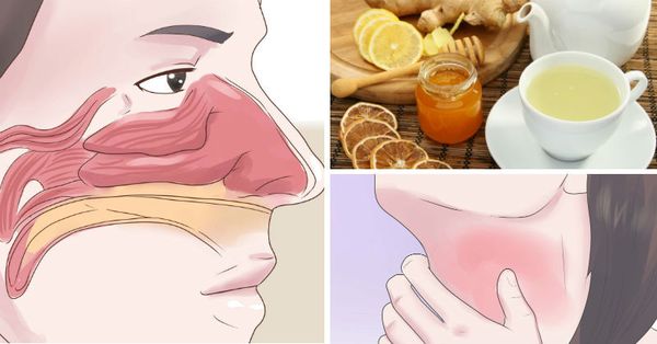 3 RECETTES FACILES DE BOISSONS QUI NETTOIENT LES SINUS ET SOIGNENT L' INFLAMMATION DE LA GORGE RAPIDEMENT