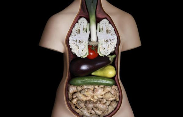 11 aliments qui sont similaires aux organes du corps qu'ils traitent