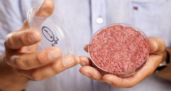 Viande humaine se trouve dans la viande usine de McDonald
