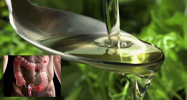 Voici ce que fait l’huile d’olive au cancer, alzheimer et d’autres maladies