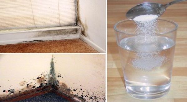 Il n'a jamais été aussi facile! Il suffit de vaporiser ceci pour débarrasser votre maison de l’humidité et des moisissures naturellement et définitivement !