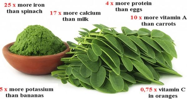 Briser l'étude: Cette herbe verte pourrait être le remède à 5 différents types de cancer, y compris de l'ovaire, du foie, du poumon et le mélanome