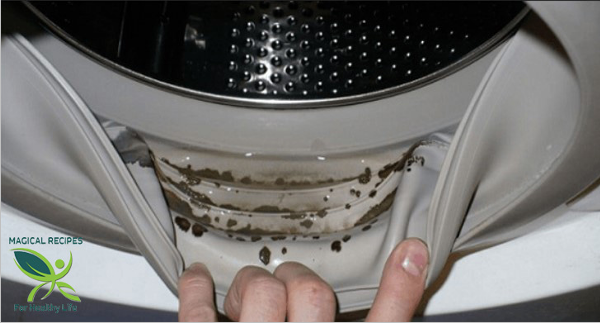 Comment faire pour supprimer la moisissure dangereuse et les odeurs désagréables de votre machine à laver avec 2 Ingrédients
