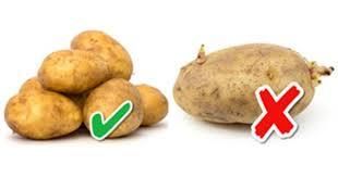 Peut on manger des pommes de terre germées ?