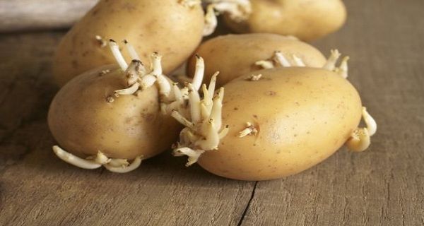 CES ALIMENTS PEUVENT ÊTRE MORTELS, ET LA PLUPART D'ENTRE NOUS L’AVONS DANS LA CUISINE !