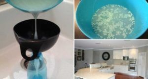 Sa maison sent toujours merveilleux et frais et les gens ne peuvent comprendre pourquoi. Voici son secret