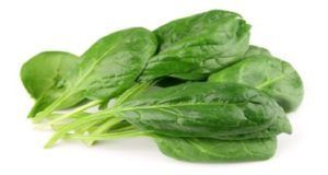 Il peut être très toxique! Si vous mangez ce légume, VOUS DEVEZ JAMAIS FAIRE!