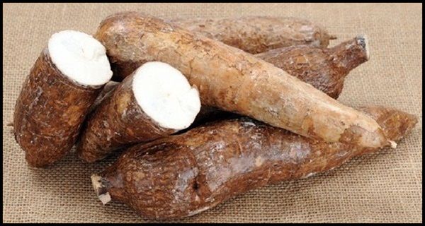 Cette plante sud-américaine est un remède potentiel pour le cancer et l'infertilité