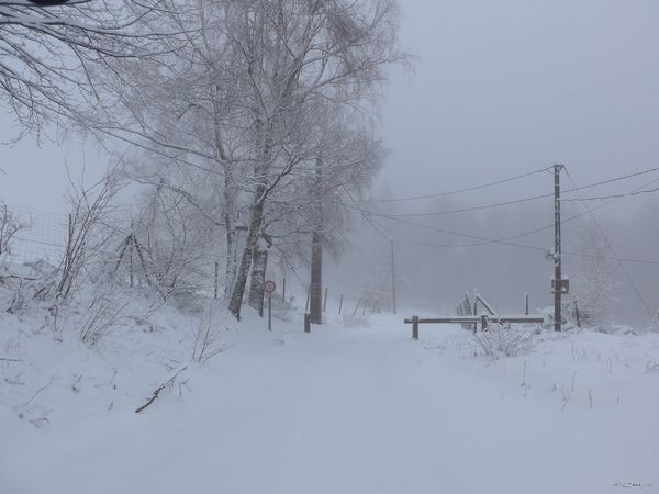 Le Donon sous la neige.