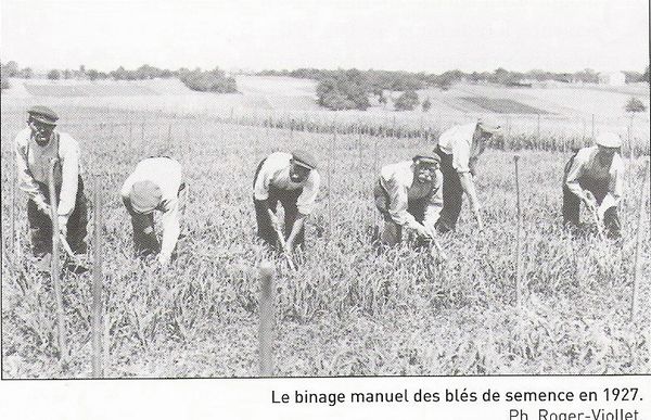 Source : Histoire de la protection des cultures, Éd. Champ libre
