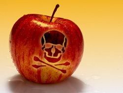 On ne se refuse rien chez Greenpeace