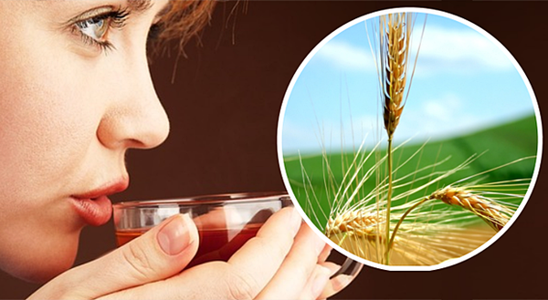 BLÉ TEA: Voici comment préparer un médicament qui guérit les maladies graves!