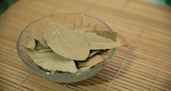 Juste brûler les feuilles de cette plante et votre stress va disparaître