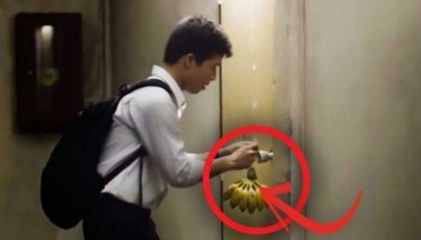 IL A MIS DES BANANES DANS VOTRE PORTE TOUS LES JOURS. JE AI PRESQUE PLEURÉ QUAND JE COMPRIS POURQUOI.(VIDEO)