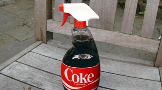 Ces utilisations du Coca vous persuaderont de ne plus jamais en boire