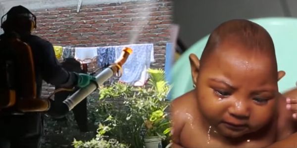 médecins argentins et brésiliens nommer larvicide comme cause potentielle de microcéphalie