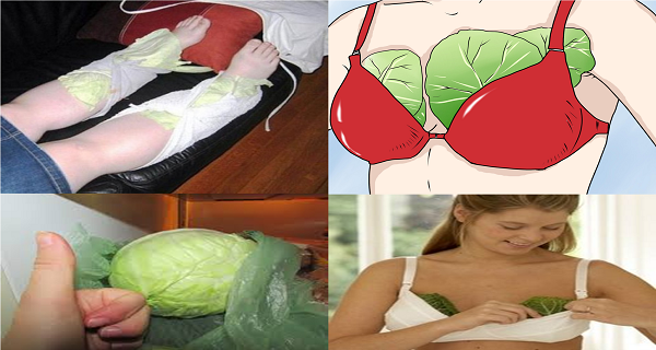 Mettez Feuilles de chou sur votre poitrine et les jambes avant d'aller vous coucher si vous ressentez des maux de tête fréquents le lendemain matin, vous vous sentirez en meilleure santé que jamais!