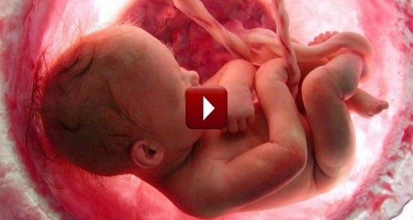 Une vidéo montrant 9 mois de la vie dans l'utérus en quelques minutes est à couper le souffle!