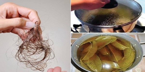 Comment arrêter enfin la perte de cheveux? Cultivez vos cheveux naturellement, plus rapide et plus fort