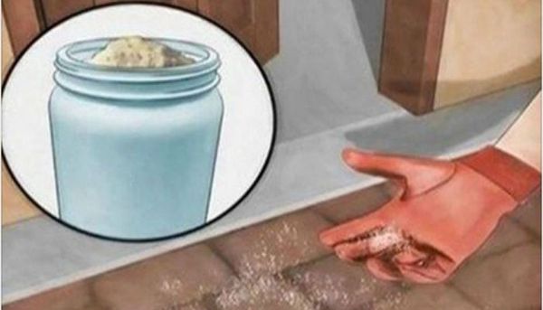 VOIR CE QUI SE PASSE LORSQUE VOUS ARROSEZ LE SEL AUTOUR DE LA MAISON.