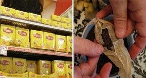 La plupart des sachets de thé populaires contiennent des quantités illégales de pesticides mortels (éviter ces marques à tout prix)