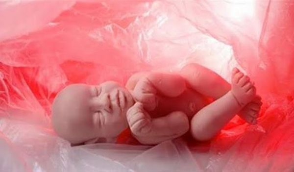 COMMENT FAIRE VOTRE BÉBÉ SMARTER AVANT MEME NAISSANCE