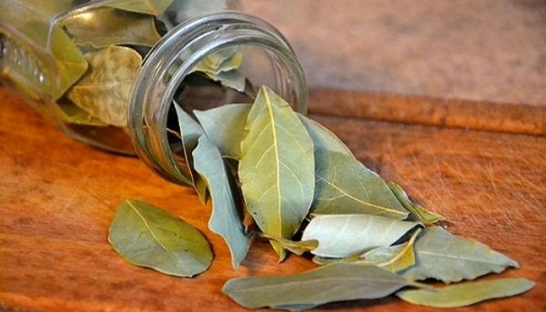 INCROYABLE: GRAVER QUELQUES FEUILLES DE LAURIER DANS VOTRE MAISON ET CELA SE PRODUIRA EN SEULEMENT 10 MINUTES!